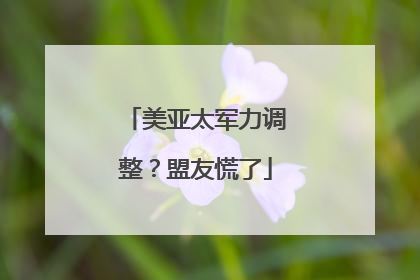 美亚太军力调整？盟友慌了